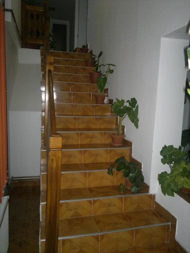 Pensiunea Buzdugan Moieciu de Jos Exterior foto